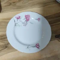 ظروف گل میخک