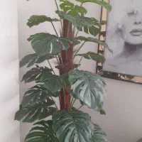 درختچه مصنوعی لمسی بسیار زیبا|گل مصنوعی|تهران, تهرانپارس غربی|دیوار