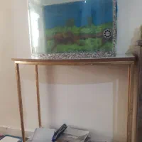 آکواریوم جلو خم بامیز