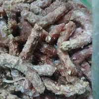 اسکلت مرغ مناسب غذای سگ