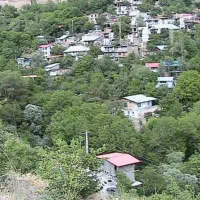 فروش زمین در چالوس/ روستای همه جا