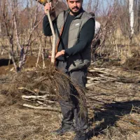 نهال گردو مقاوم و اقتصادی|خدمات باغبانی و درختکاری|مریوان, |دیوار