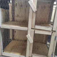 جفت‌کن‌کبوتر‌فروشی|لوازم جانبی حیوانات|تهران, بهارستان|دیوار