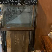 آکواریوم