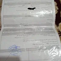 ساینا s استاندارد 85 گانه|خودرو سواری و وانت|نیشابور, گنبد سبز|دیوار