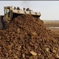 کود دامی مستقیم از دامداری