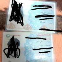 مدارک پیداشده