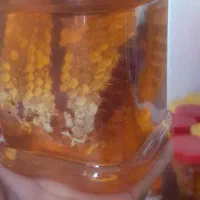 عسل برداشت اول