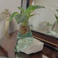 گلدان و سنگ نمک|صنایع دستی و سایر لوازم تزئینی|تهران, سازمان برنامه جنوبی|دیوار