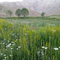 ویلا . باغ . سوئیت. اقامتگاه|اجارهٔ کوتاه‌مدت ویلا و باغ|الشتر, |دیوار