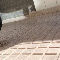 جوجه خروس محلی|حیوانات مزرعه|شاهین دژ, |دیوار