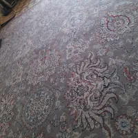 یک عدد فرش ۱۲متری به فروش میرسد