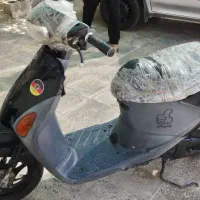 موتور پاکشتی|موتورسیکلت|اهرم, |دیوار