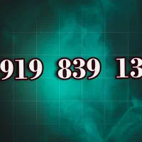 09198391300