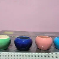 فروش تعدادی گلدان رنگی سرامیکی|گل و گیاه طبیعی|شیراز, منطقه هوایی شهید دوران|دیوار