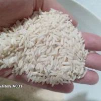 برنج هاشمی اصل