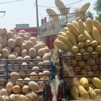 کارگرساده