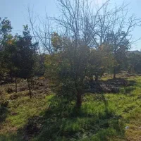 ۲۱۰  متر زمین مسکونی