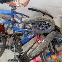 دوچرخه|دوچرخه، اسکیت، اسکوتر|قم, شاد قلی|دیوار