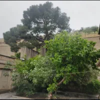 اجاره ویلایی ۴۵۰ متر چهارراه بانک