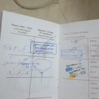 سگ عروسکی مینیاتوری|سگ|تهران, جوادیه|دیوار