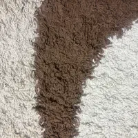 فرش شگی پرز بلند ۴ متری|فرش|شیراز, شهرک سراج‎|دیوار