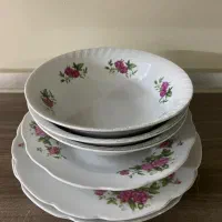 کاسه گلسرخی بشقاب گلسرخی