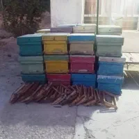 کندو خالی