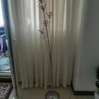 آباژور