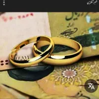 ضامن میخوام