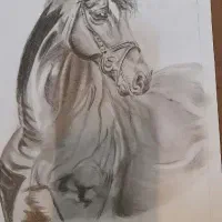 اجتماعی|تابلو، نقاشی، عکس|قم, سالاریه|دیوار