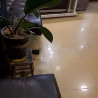 فروشنده خانم مجردپوشاک زنانه