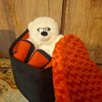 پک ولنتاین|اسباب‌‌بازی|مشهد, دانشجو|دیوار