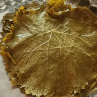 فروش برگ دلمه