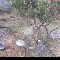 چاه‌کنی‌دستی‌‌در‌اسرع‌وقت‌‌‌