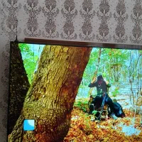 تلویزیون ۴۳ایکس ویژن فول اچ دی