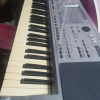 pa 50