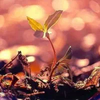 راهنمایی و مشاوره