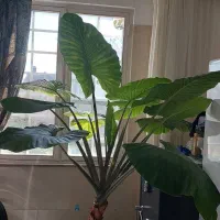 آپارتمان-180-متری-کلیدنخورده-آزادگان