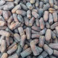 خرما پیارم درجه ۱