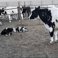 کارگر پاره وقت