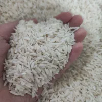 برنج طارم دم سیاه مینودشت درجه یک آب چشمه|خوردنی و آشامیدنی|مینودشت, |دیوار