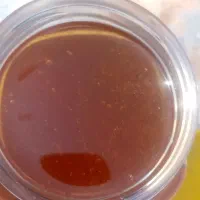 عسل طبیعی خالص 500تمن جمله بالای 5کیلو 450تمن|خوردنی و آشامیدنی|کوار, |دیوار