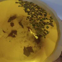 گیاه آکواریومی