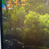 rtx 3060ti 8gig gigabyte|قطعات و لوازم جانبی رایانه|ورامین, شهرک مدرس|دیوار