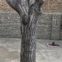 خریدار مستقیم چوب درختان میوه و تیر|خدمات باغبانی و درختکاری|ارومیه, |دیوار