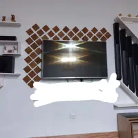 ۵عدد شلف چوب با رنگ خارجی سفید