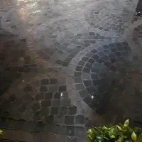 نیرو برای فروشندگی