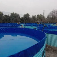 اجاره  مزرعه گردشگری پروش ماهی باغ زیتون|اجارهٔ دفتر صنعتی، کشاورزی، تجاری|نوکنده, |دیوار