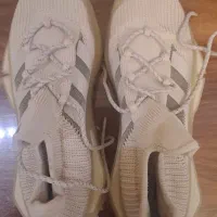 کفش/کفش اورجینال ادیداس